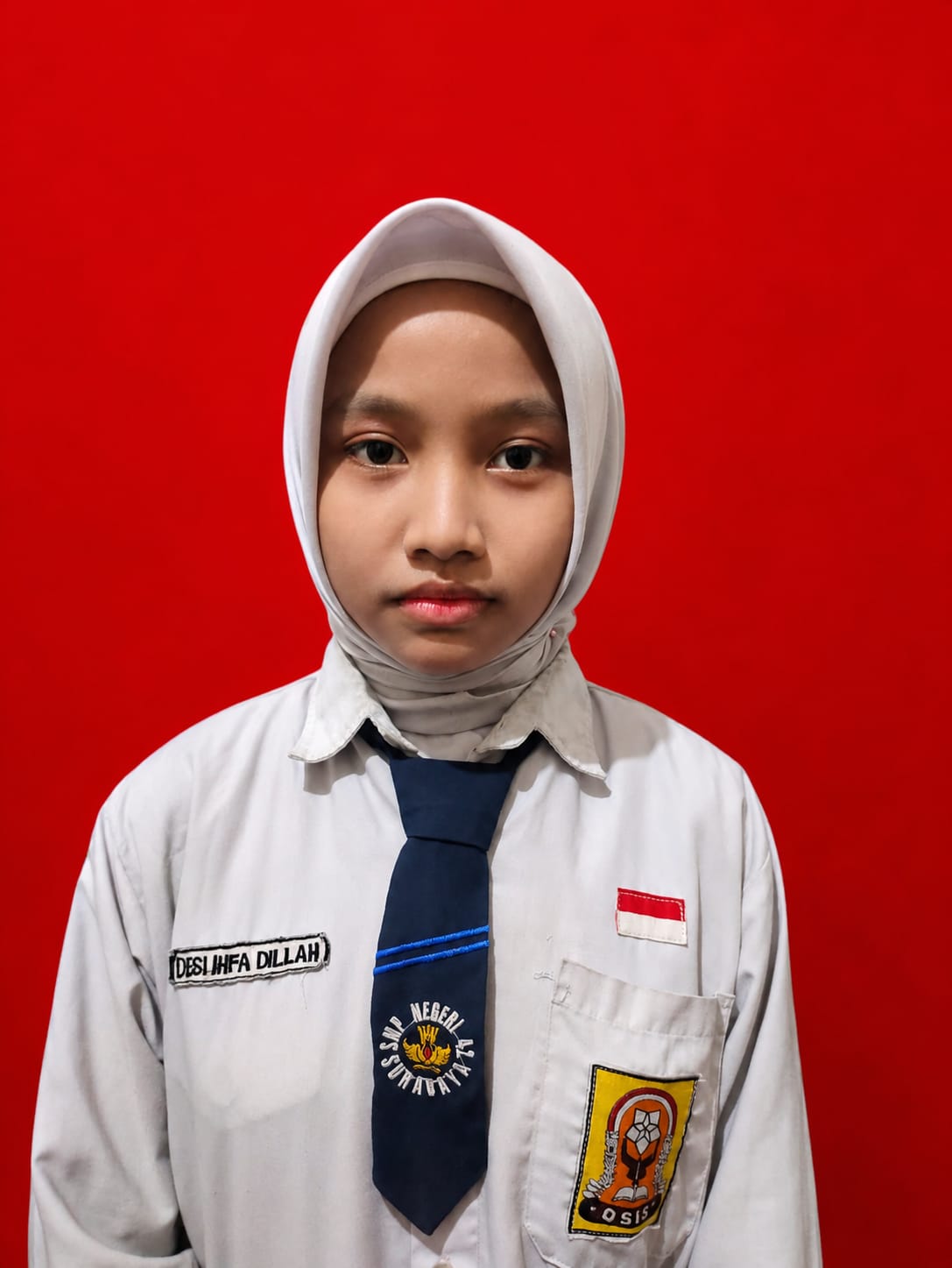 Desi Ihfa Dillah