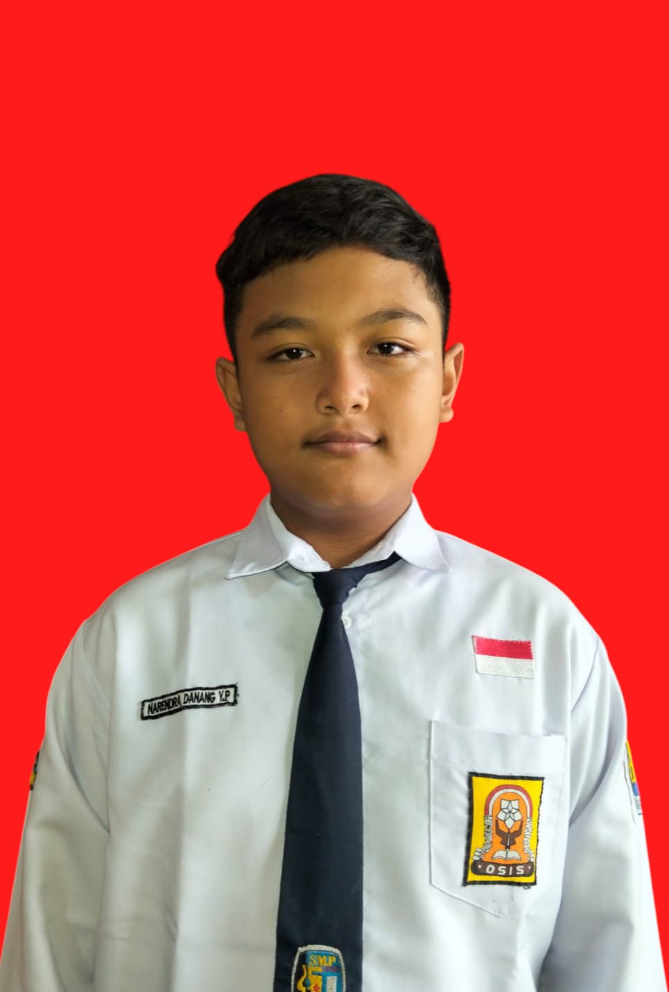 NARENDRA DANANG YOGA P